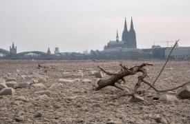 Γερμανία: Η Shell μειώνει την παραγωγή διυλιστηρίου λόγω της χαμηλής στάθμης του Ρήνου
