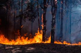 Μέτρα που μπορούν να πάρουν οι πολίτες κατά της πυρκαγιάς