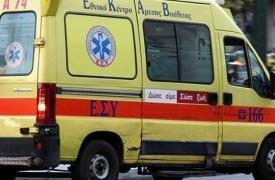 Θεσσαλονίκη: Μία 50χρονη έχασε τη ζωή της μετά από επίθεση σκυλιών