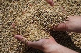 Σιτηρά: Υποχωρεί στις πιέσεις η Viterra και σχεδιάζει έξοδο από τη ρωσική αγορά