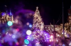 Φωταγωγήθηκε το δέντρο στην πλατεία Συντάγματος - Μπακογιάννης: Το φως νικάει πάντα το σκοτάδι