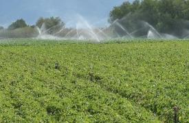 Πώς δεν θα έχουμε ξανά μπλόκα Νο1: Ανάγκη για βιώσιμη παραγωγή αγροτικών προϊόντων