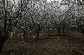 Η νίκη του Μακρόν, Ποιοι έπαιζαν τις κουμπάρες στην Βουλή, Γιατί η ΝΔ δεν άλλαξε την Τσαπαρίκου της ΡΑΣ