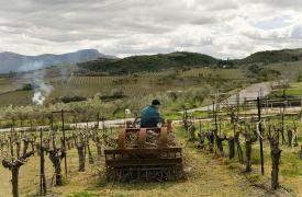 ΕΣΠΑ: Πώς θα επενδύσουν οι αγρότες με κοινοτικό χρήμα