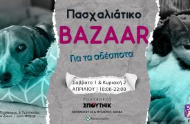Πάσχα και Παγκόσμια Ημέρα Αδέσποτων Ζώων; Ευκαιρία για στήριξη στο stray.gr