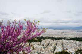 Ακίνητα: Τα ποσοστά αντιπαροχής στα οικόπεδα και οι τάσεις - Οι διαπραγματεύσεις εργολάβων και ιδιοκτητών