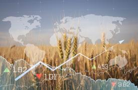 Τράπεζα Πειραιώς: Πώς θα κινηθούν τα commodities σε 8 αγροτικά προϊόντα