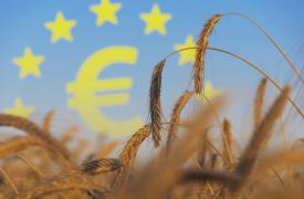 ΠΑΣΟΚ: Για τα προβλήματα στο ΟΣΔΕ θα πρέπει να απαντήσει ο Αυγενάκης στη Βουλή