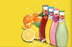 Τι περιλαμβάνει το τριετές αναπτυξιακό πλάνο της ΕΨΑ