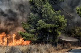 Πυρκαγιά σε χαμηλή βλάστηση στα Παγούρια Ροδόπης