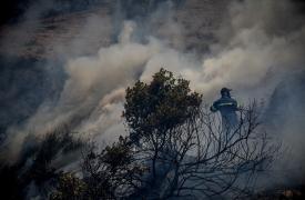 Πυρκαγιά σε χαμηλή βλάστηση στον Χάρακα Αττικής - Προειδοποιητικό μήνυμα από το 112