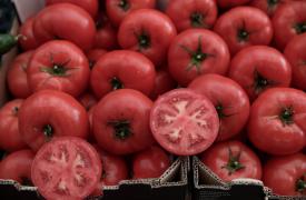 Ημαθία: Ενισχύσεις de minimis 563,5 ευρώ ανά στρέμμα στους παραγωγούς βιομηχανικής τομάτας