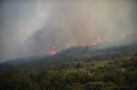 Πυρκαγιές: Στα «αζήτητα» 20 εκατ. ευρώ για αντιπυρικά έργα στους δήμους – Γιατί κινδυνεύουν να χαθούν κονδύλια