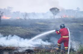 Δύο νεκροί από τις δασικές πυρκαγιές στη Σικελία