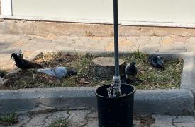 Θα αποσύρει την υποψηφιότητα ο Νίκος Παππάς; Βουρ για το Κέντρο από Στέφανο Κασσελάκη - Το παραδικαστικό και η βοήθεια Πολάκη