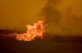Διδυμότειχο: Σε εξέλιξη πυρκαγιά νότια των Ασβεστάδων Διδυμοτείχου