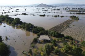 Σχέδιο διαχείρισης κουνουπιών στη Θεσσαλία - Αυξημένος κίνδυνος μετάδοσης παθογόνων