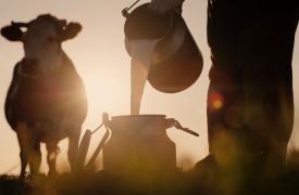 Ρωσία: Ο Πούτιν απέπεμψε υπουργό μετά τις μαζικές θανατώσεις βοοειδών στη Σιβηρία