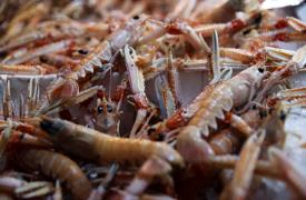 Καλάθι Σαρακοστής: Σε ισχύ από σήμερα - Τι προϊόντα περιλαμβάνει