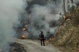 Οι αυταπάτες της Νέας Αριστεράς - Τα ρίσκα των ευρωεκλογών - Σιωπητήριο στον ΣΥΡΙΖΑ ενόψει κάλπης - Η αγωνία της Κύπρου