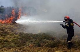 Πυρκαγιά σε αγροτοδασικές εκτάσεις σε Φθιώτιδα και Βοιωτία