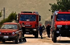 Υπό μερικό έλεγχο η πυρκαγιά σε αγροτοδασική έκταση στη Βοιωτία