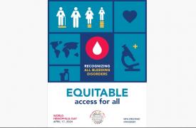 17 Απριλίου 2024 Παγκόσμια Ημέρα Αιμορροφιλία: «Ισότιμη πρόσβαση για όλους: Αναγνώριση όλων των αιμορραγικών διαταραχών»