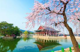 Η Νότια Κορέα προσφέρει δωρεάν διακοπές - Πώς να κάνετε η αίτηση