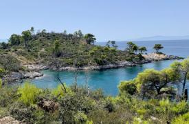 Η Σκόπελος «παραδεισένιος προορισμός» για τους Σουηδούς το 2026