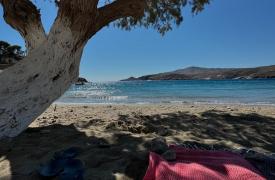 Ολιγοήμερες διακοπές για τον Άκη Σκέρτσο - Συνεχίζεται ο καύσωνας στο ΠΑΣΟΚ - Ξαφνικά καλοκαίρι στις σχέσεις Ανδρουλάκη-Κασσελάκη