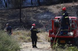 Πυρκαγιές σε Χαλκιδική, Ναύπακτο και Ηλεία - Μεγάλη κινητοποίηση της Πυροσβεστικής