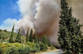 Απαγόρευση κυκλοφορίας σε περιοχές της Χαλκιδικής λόγω πολύ υψηλού κινδύνου εκδήλωσης δασικής πυρκαγιάς