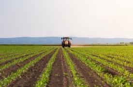 Τι να σπείρω φέτος; Ο προβληματισμός του αγρότη που οδηγεί στην ακρίβεια στο ράφι…