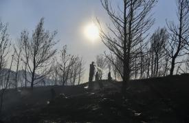 Πυρκαγιές 2025: Το αποτύπωμα στην Ελλάδα και η ανάγκη για νέα στρατηγική