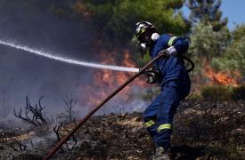 Πυροσβεστική: 48 αγροτοδασικές πυρκαγιές το τελευταίο εικοσιτετράωρο σε όλη τη χώρα