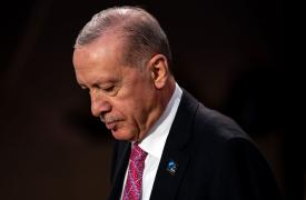 Συνάντηση Ερντογάν - Σάντσεθ: «Σημαντικό βήμα οικοδόμησης εμπιστοσύνης οι συνομιλίες για την Ουκρανία»