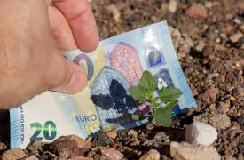 Αύξηση των δεικτών τιμών εισροών και εκροών στη γεωργία - κτηνοτροφία τον Απρίλιο