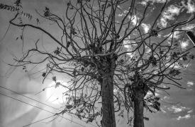 Πώς θα είναι ο καιρός έως το τέλος της χρονιάς