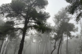 Είναι η συνέντευξη του Πρωθυπουργού για τα Τέμπη game changer του πολιτικού σκηνικού;