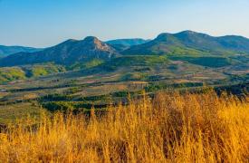 Κλιματική αβεβαιότητα και ΕΛΓΑ: Όταν ο παγετός του Απριλίου «παγώνει» την οικονομία της υπαίθρου