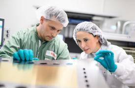 Bosch: Μείωση τζίρου αλλά σταθερή ανθεκτικότητα το 2024