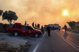 Χίος: Μικρή η ζημιά στη μαστιχοκαλλιέργεια από τις φωτιές - Σε επιφυλακή οι αρχές