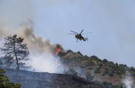Σε εξέλιξη φωτιά στο Φίλυρο Θεσσαλονίκης - Μήνυμα από το 112