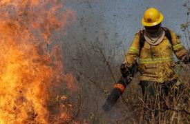 ΗΠΑ: Τουλάχιστον δυο πυροσβέστες νεκροί σε ενέδρα στην πολιτεία Άινταχο