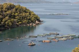 Υδατοκαλλιέργειες: Κατά 10,2% μειώθηκε η παραγωγή το 2024