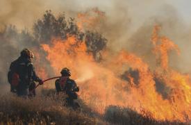 Φωτιά στην Αλυκή Βοιωτίας - Ενεργοποιήθηκε το 112