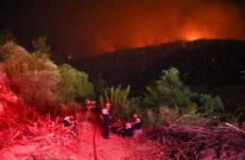 Σε πύρινο κλοιό τα τουρκικά παράλια: Πάνω από 115 πυρκαγιές σε μία ημέρα