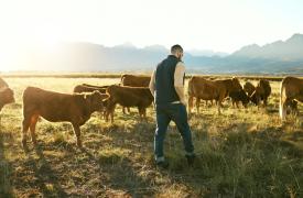 Άνοιξαν οι αιτήσεις για το πρόγραμμα Agrifood Leadership 2025 - 2026