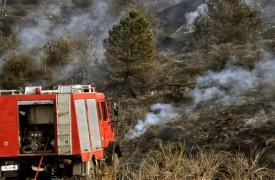 Οι εμπρησμοί από αμέλεια στο στόχαστρο της ΔΑΕΕ για την αντιπυρική περίοδο 2026