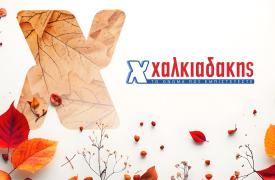 Χαλκιαδάκης: Πωλήσεις 266 εκατ. ευρώ για το «δυνατό χαρτί» του Σκλαβενίτη